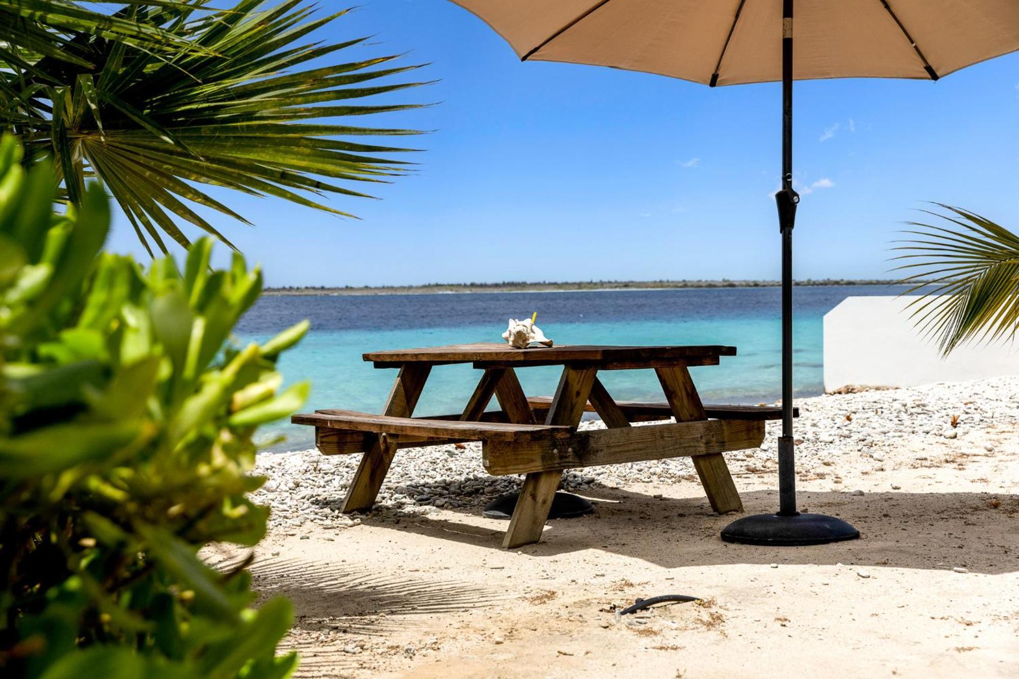 Oceanfront - Villa Port Of Call - Playa Kültér fotó